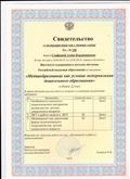 Свидетельство о повышении квалификации г. Екатеринбург, 2013 год