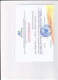 Сертификат, участника семинара г. Екатеринбург, 2013 год